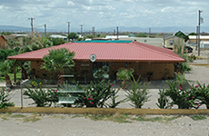 consul